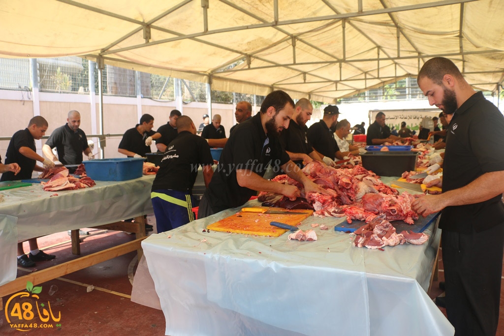 ada7y forthei (47).JPG